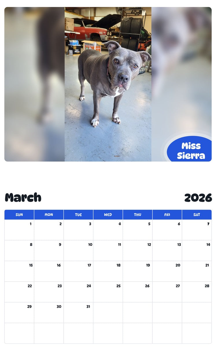 November 2025 - October 2026 Miss Sierra - Pawidols Pet Calendar