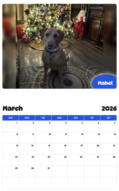 November 2025 - October 2026 Mabel - Pawidols Pet Calendar