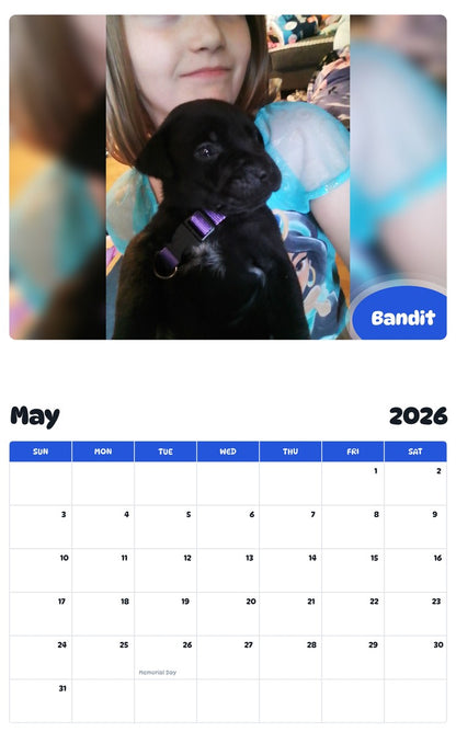 2026 - 2027 Bandit - Pawidols Pet Calendar