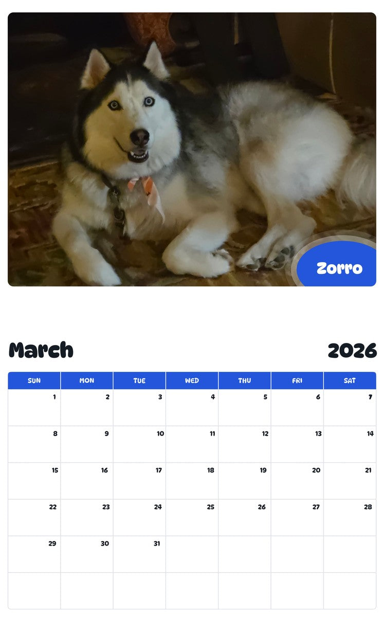 November 2025 - October 2026 Zorro - Pawidols Pet Calendar