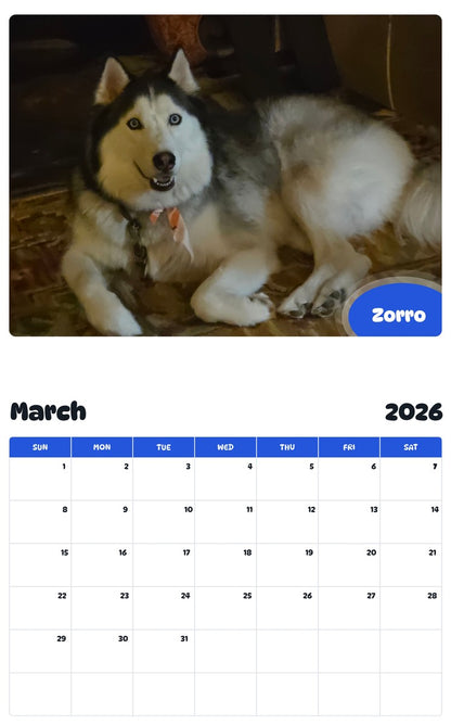 November 2025 - October 2026 Zorro - Pawidols Pet Calendar