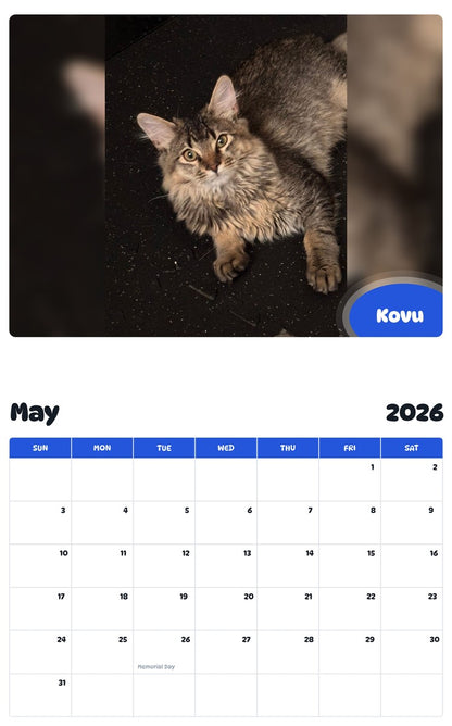 2026 - 2027 Kovu - Pawidols Pet Calendar