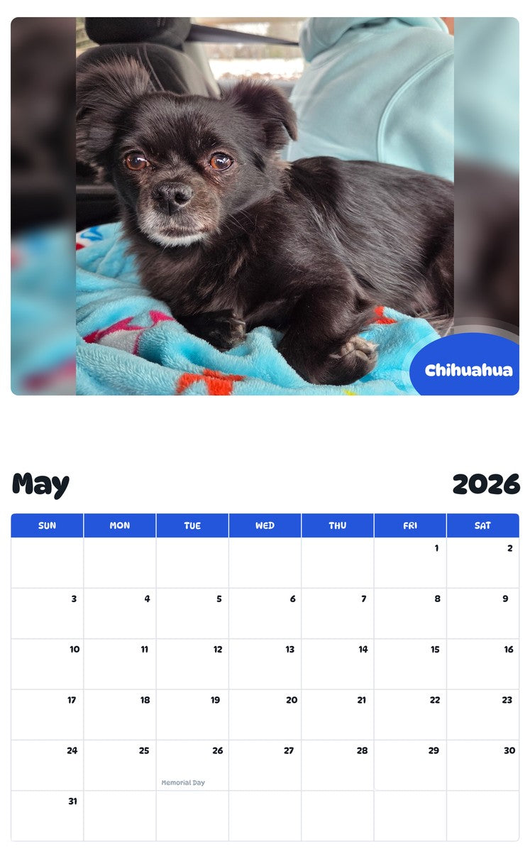 2026 - 2027 Chihuahua - Pawidols Pet Calendar
