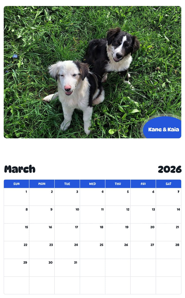November 2025 - October 2026 Kane & Kaia - Pawidols Pet Calendar