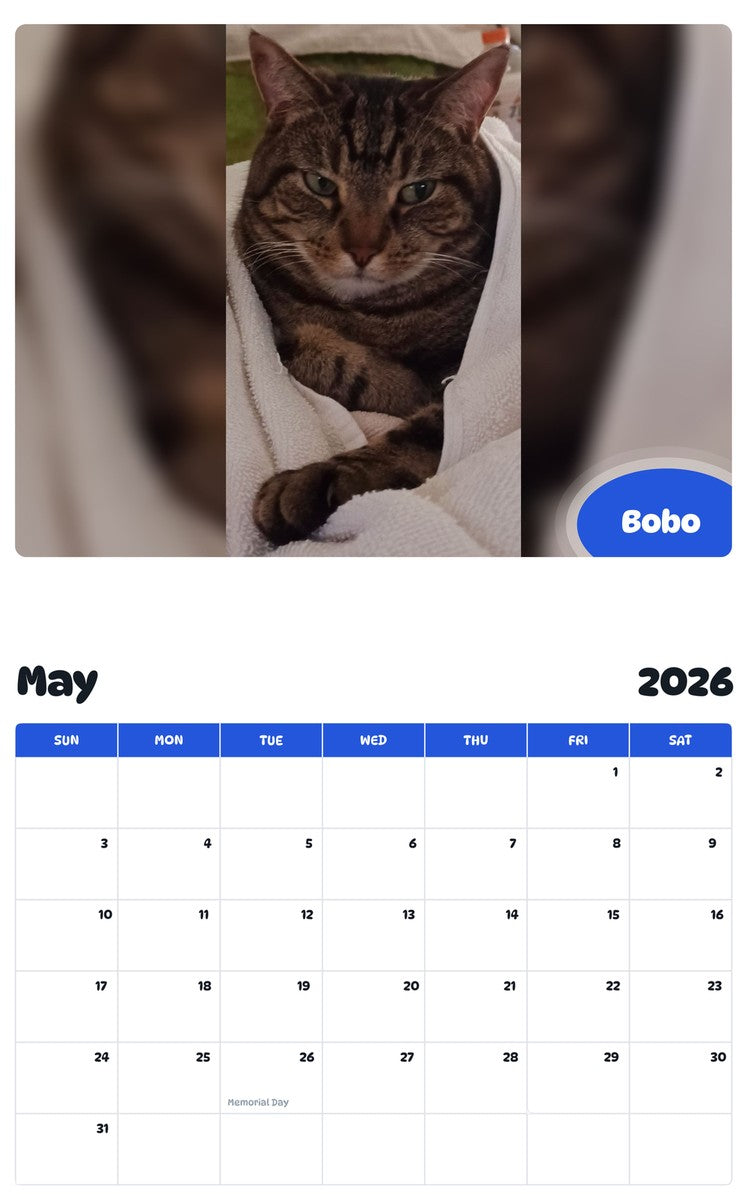 2026 - 2027 Bobo - Pawidols Pet Calendar