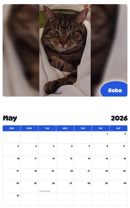 2026 - 2027 Bobo - Pawidols Pet Calendar