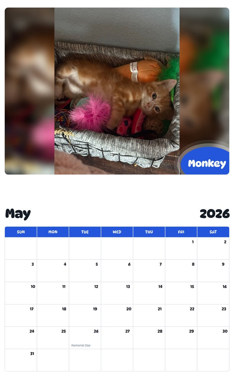 2026 - 2027 Monkey - Pawidols Pet Calendar