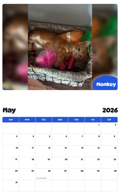 2026 - 2027 Monkey - Pawidols Pet Calendar