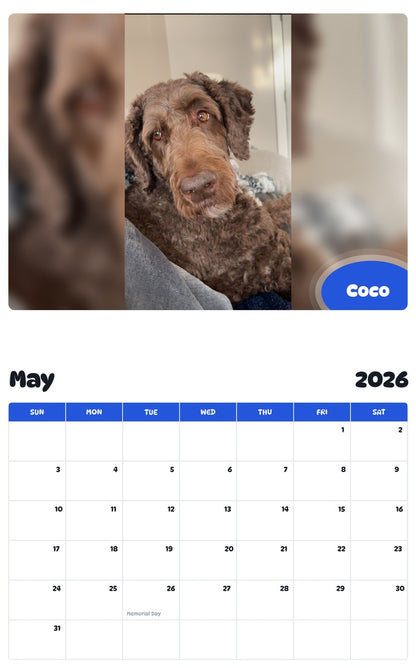 2026 - 2027 Coco - Pawidols Pet Calendar
