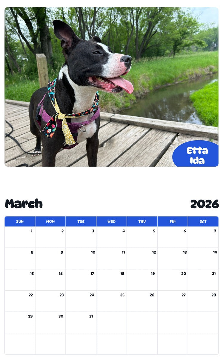 November 2025 - October 2026 Etta Ida - Pawidols Pet Calendar