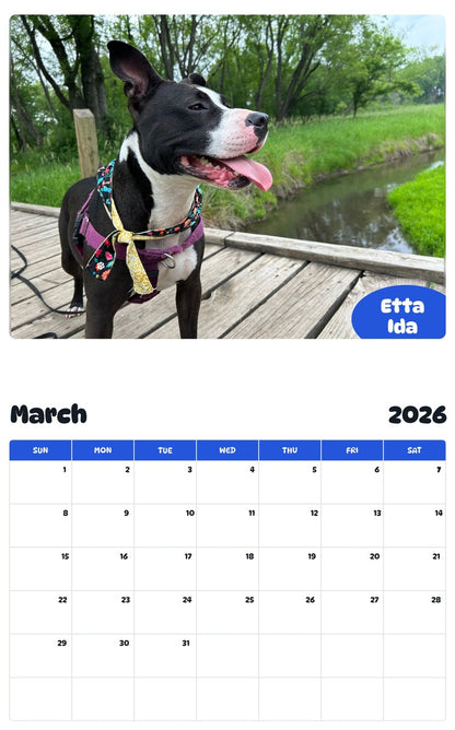 November 2025 - October 2026 Etta Ida - Pawidols Pet Calendar