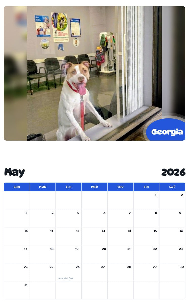 2026 - 2027 Georgia - Pawidols Pet Calendar