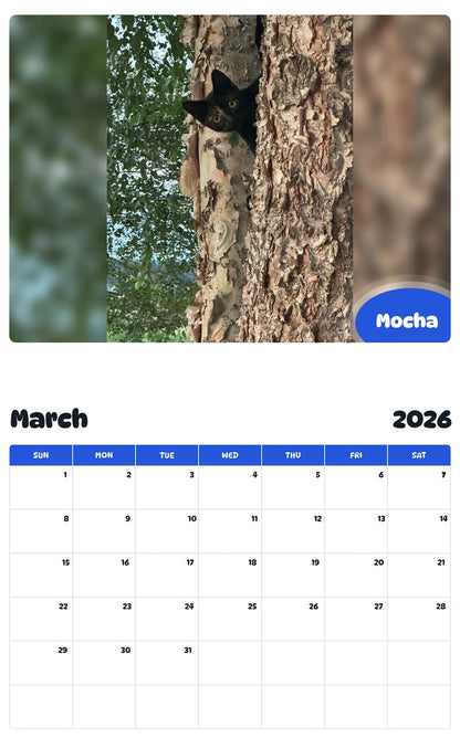 November 2025 - October 2026 Mocha - Pawidols Pet Calendar