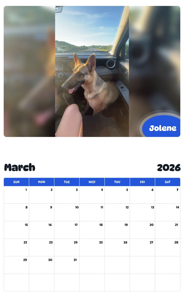 November 2025 - October 2026 Jolene - Pawidols Pet Calendar