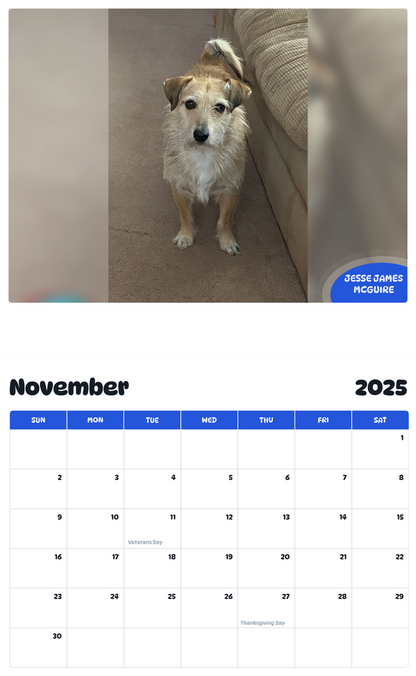 July 2025 - June 2026 Jesse James McGuire - Pawidols Pet Calendar