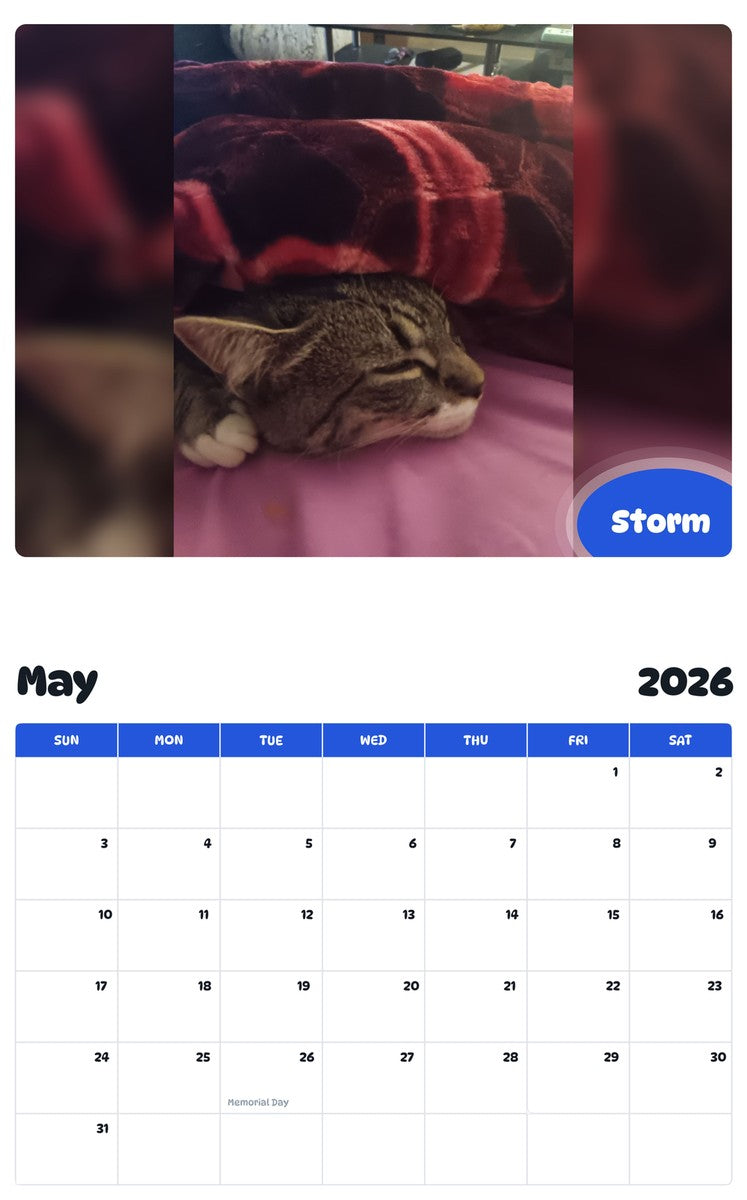 2026 - 2027 Storm - Pawidols Pet Calendar