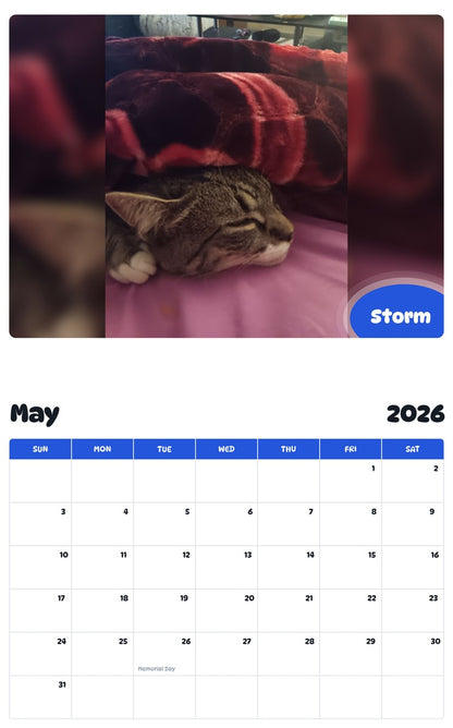 2026 - 2027 Storm - Pawidols Pet Calendar