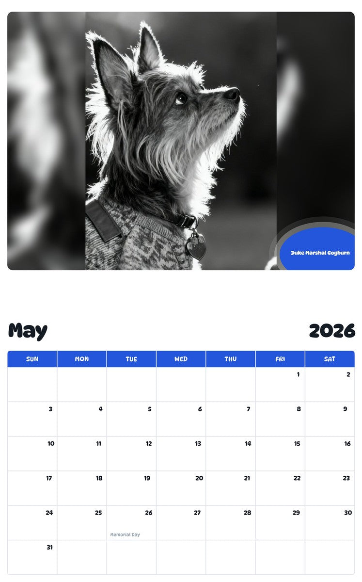 2026 - 2027 Duke Marshal Cogburn - Pawidols Pet Calendar