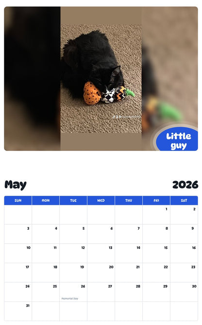 2026 - 2027 Little guy - Pawidols Pet Calendar