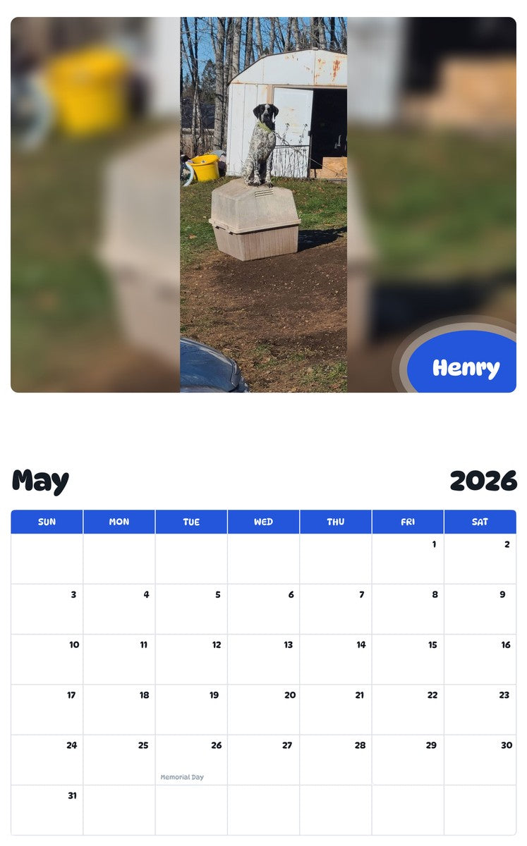 2026 - 2027 Henry - Pawidols Pet Calendar
