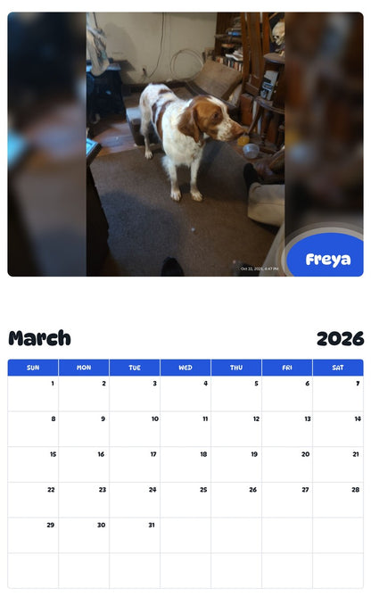 November 2025 - October 2026 Freya - Pawidols Pet Calendar