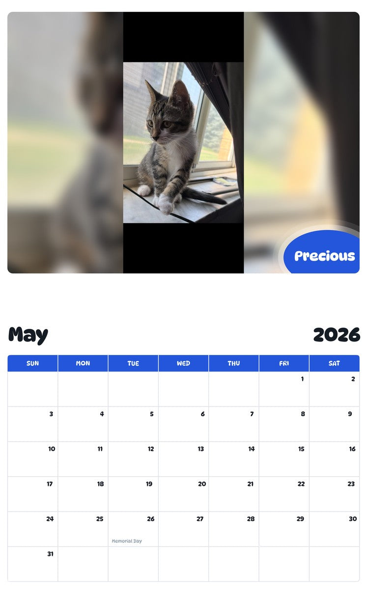 2026 - 2027 Precious - Pawidols Pet Calendar