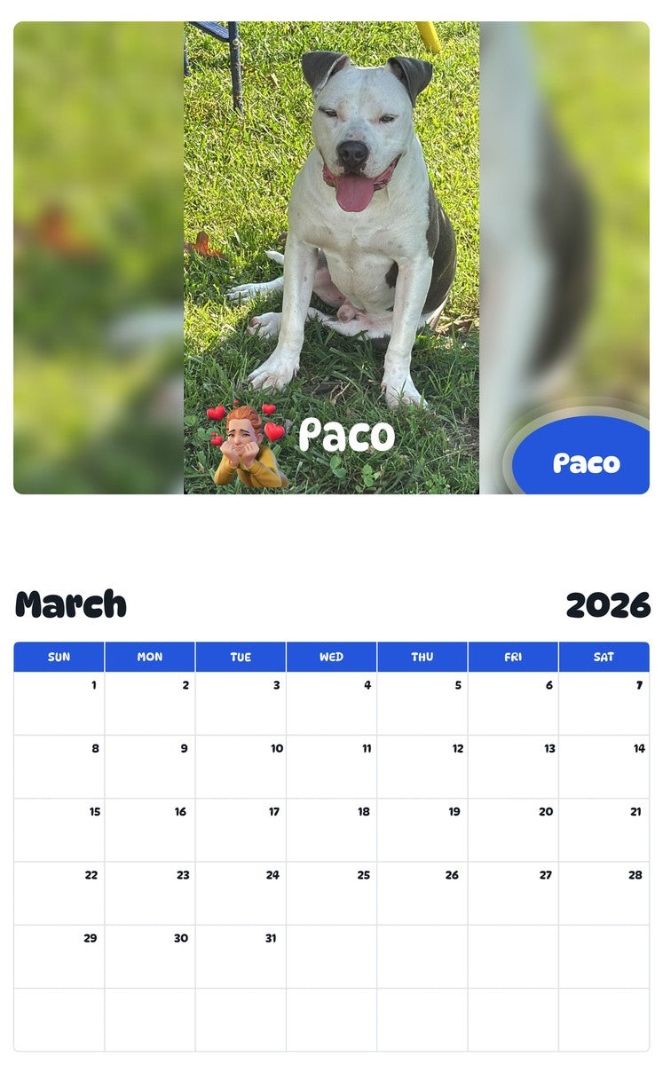 November 2025 - October 2026 Paco - Pawidols Pet Calendar