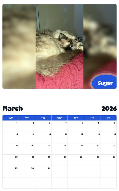 November 2025 - October 2026 Sugar - Pawidols Pet Calendar