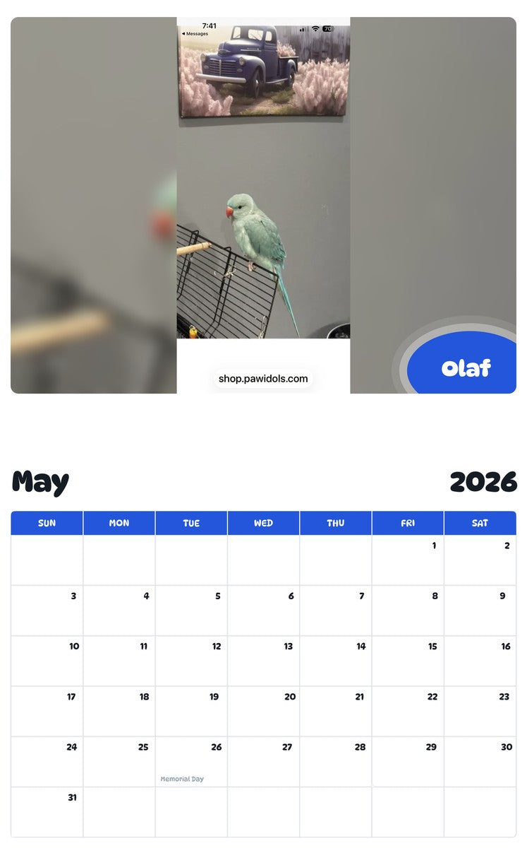 2026 - 2027 Olaf - Pawidols Pet Calendar