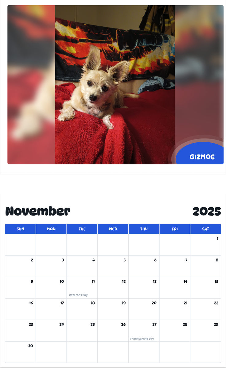 July 2025 - June 2026 Gizmoe - Pawidols Pet Calendar