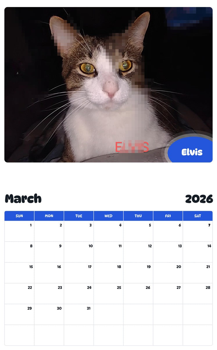 November 2025 - October 2026 Elvis - Pawidols Pet Calendar