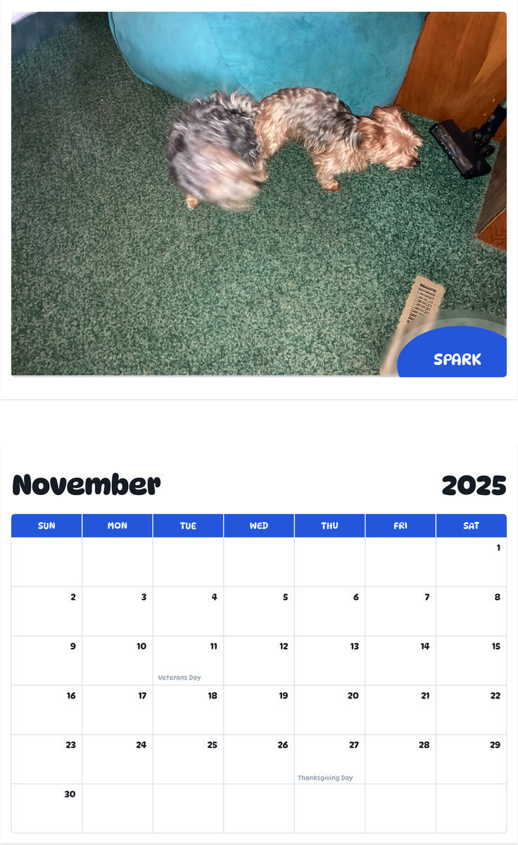 July 2025 - June 2026 Spark - Pawidols Pet Calendar