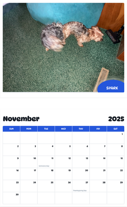 July 2025 - June 2026 Spark - Pawidols Pet Calendar