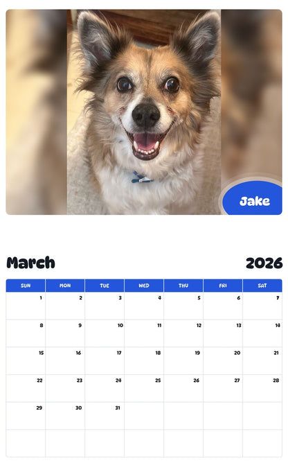 November 2025 - October 2026 Jake - Pawidols Pet Calendar