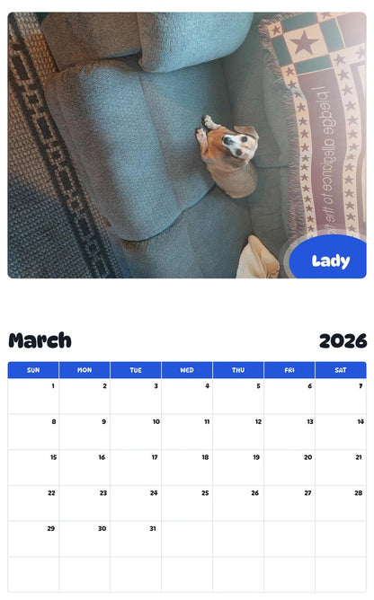 November 2025 - October 2026 Lady - Pawidols Pet Calendar