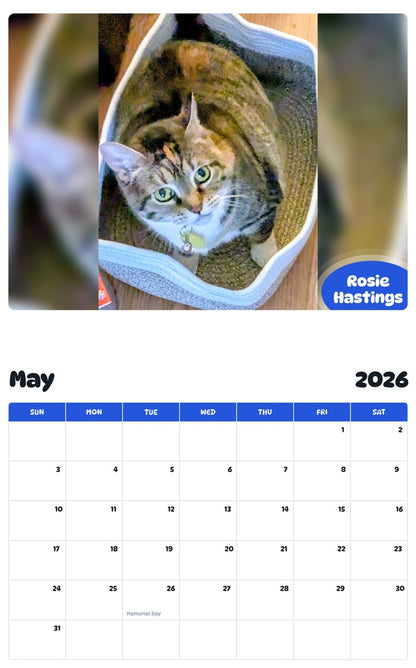 2026 - 2027 Rosie Hastings - Pawidols Pet Calendar