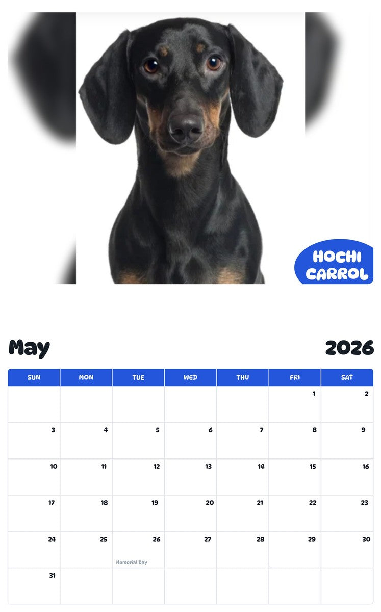 2026 - 2027 HOCHI CARROL - Pawidols Pet Calendar