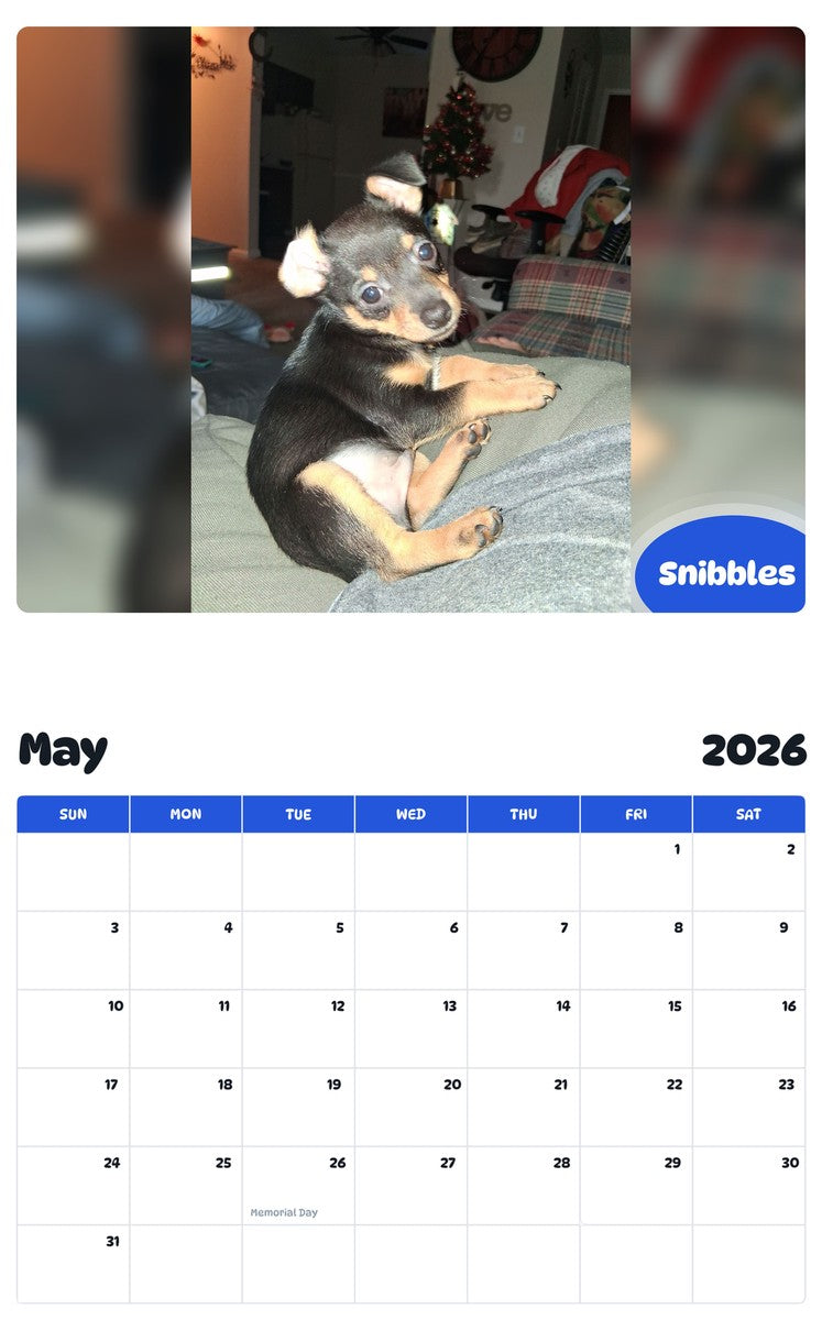 2026 - 2027 Snibbles - Pawidols Pet Calendar