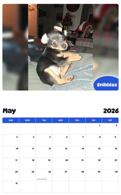 2026 - 2027 Snibbles - Pawidols Pet Calendar