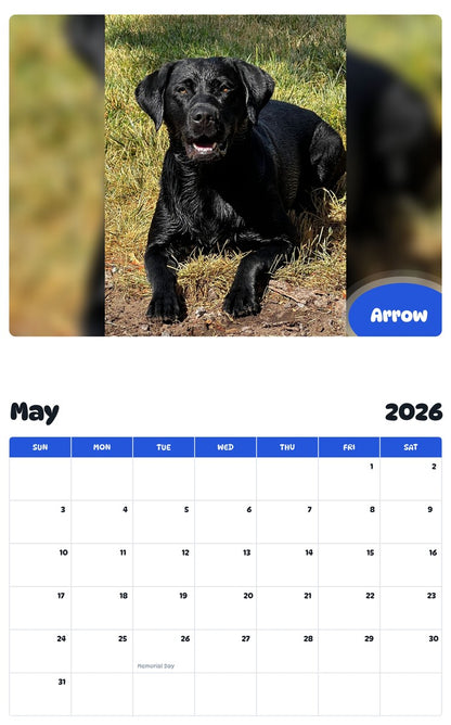 2026 - 2027 Arrow - Pawidols Pet Calendar