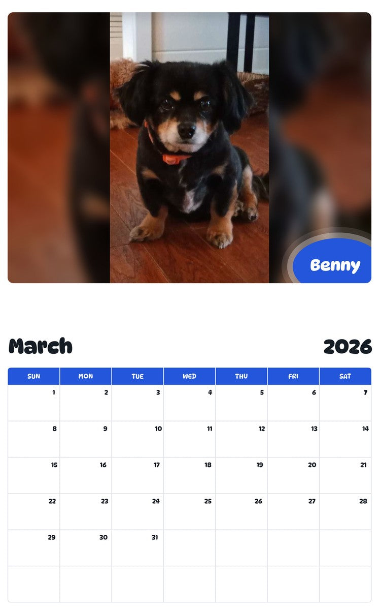 November 2025 - October 2026 Benny - Pawidols Pet Calendar