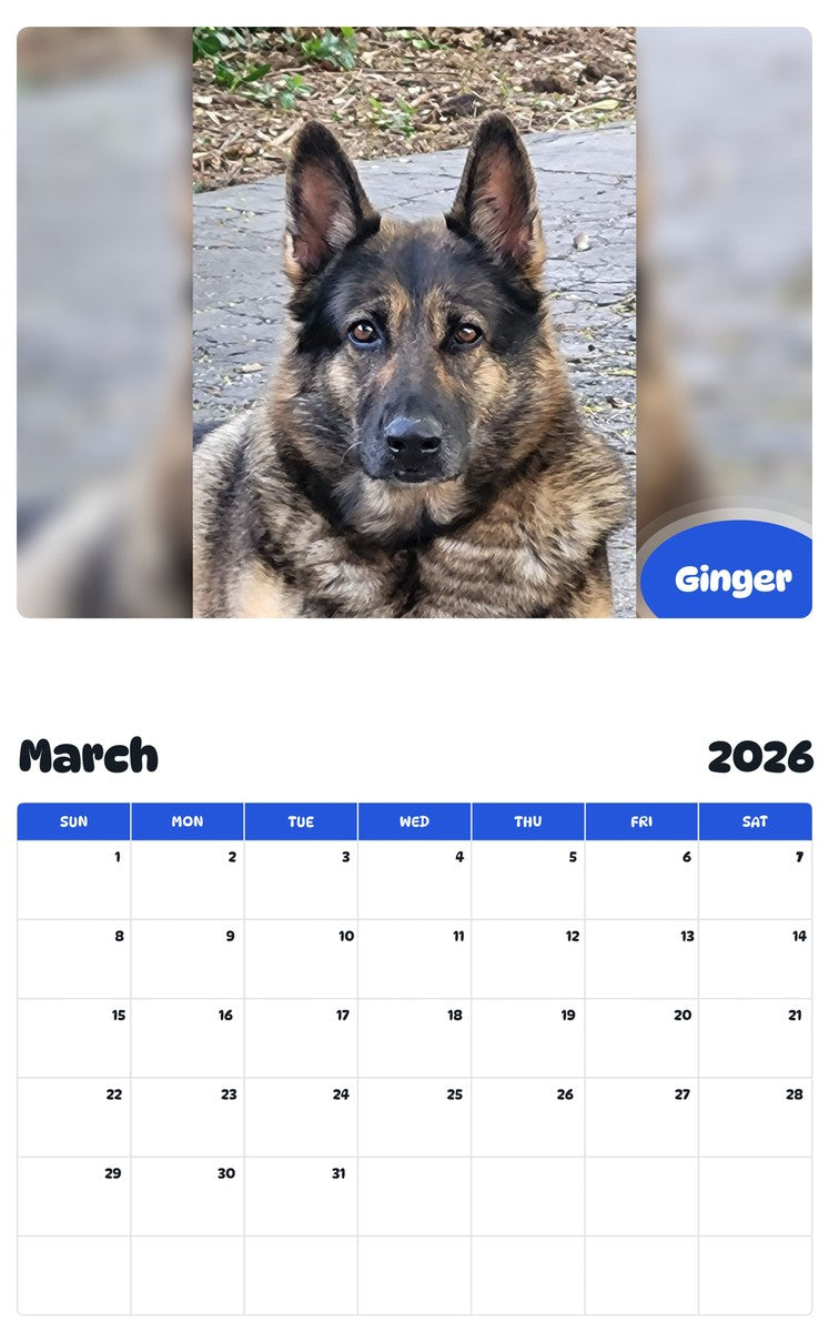 November 2025 - October 2026 Ginger - Pawidols Pet Calendar