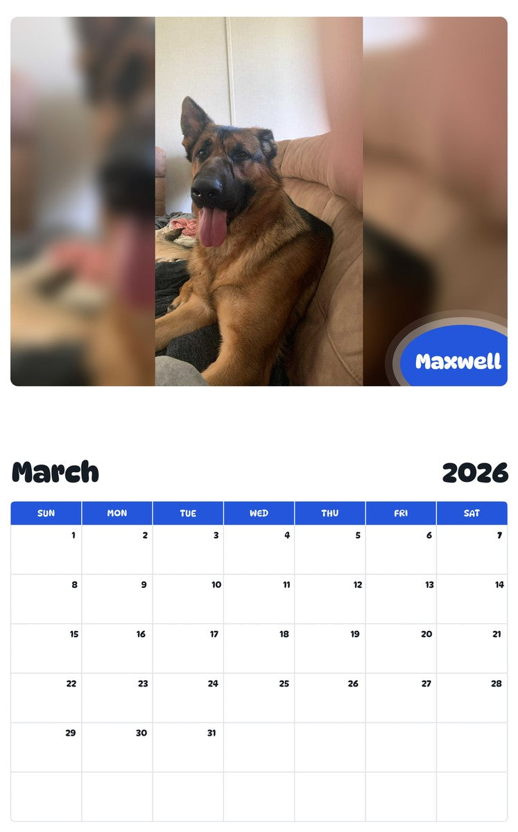 November 2025 - October 2026 Maxwell - Pawidols Pet Calendar