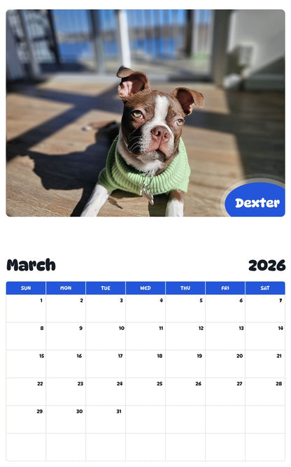 November 2025 - October 2026 Dexter - Pawidols Pet Calendar