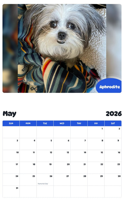2026 - 2027 Aphrodite - Pawidols Pet Calendar