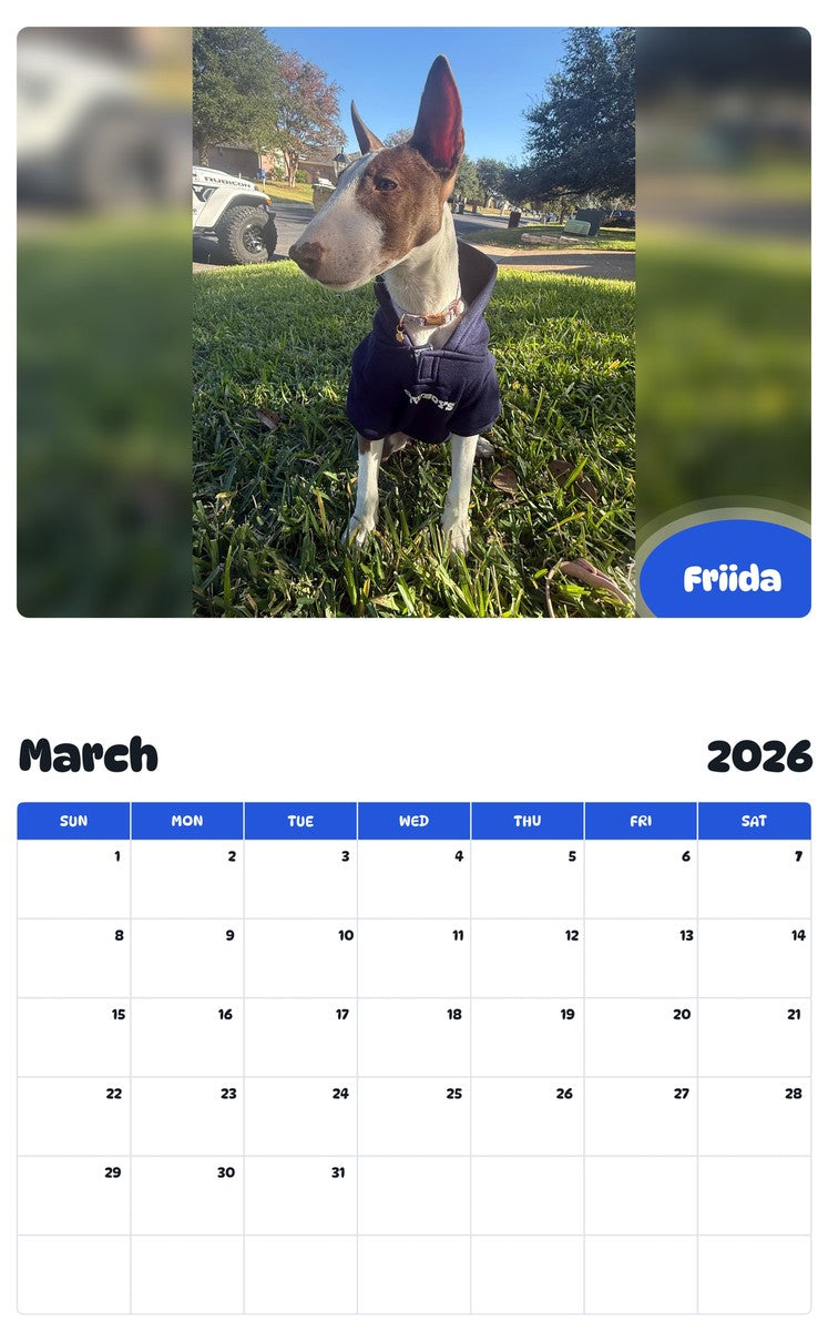 November 2025 - October 2026 Friida - Pawidols Pet Calendar