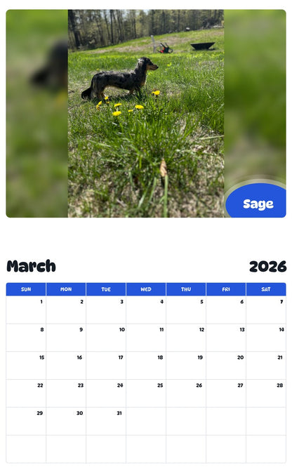 November 2025 - October 2026 Sage - Pawidols Pet Calendar