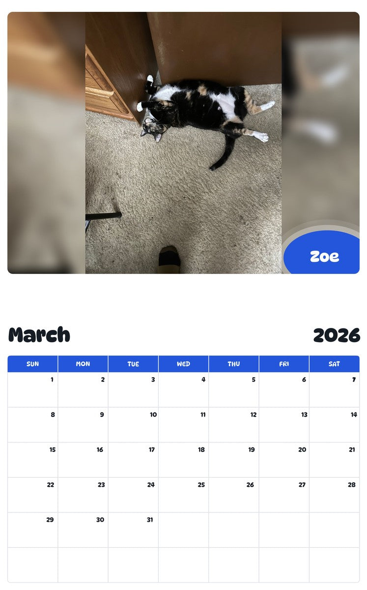 November 2025 - October 2026 Zoe - Pawidols Pet Calendar