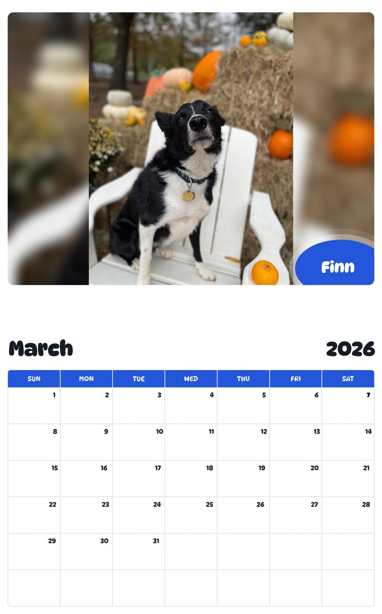 November 2025 - October 2026 Finn - Pawidols Pet Calendar