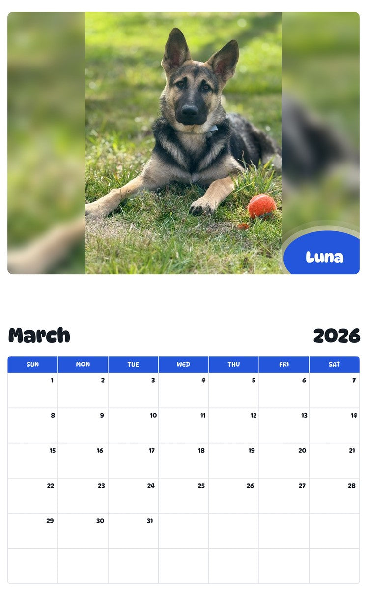 November 2025 - October 2026 Luna - Pawidols Pet Calendar